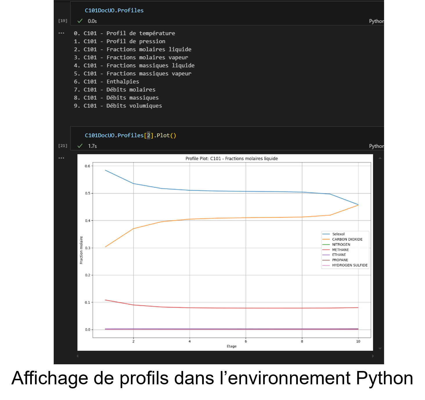 Affichage des profils au sein de ProSimPlus Python API