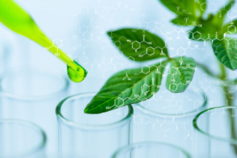 bio-based products industry - better process